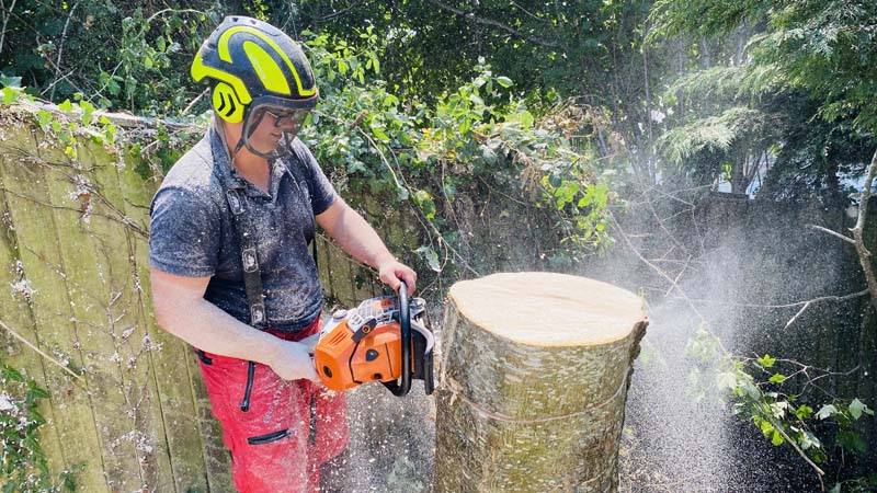 Tree Surgeon East Devon