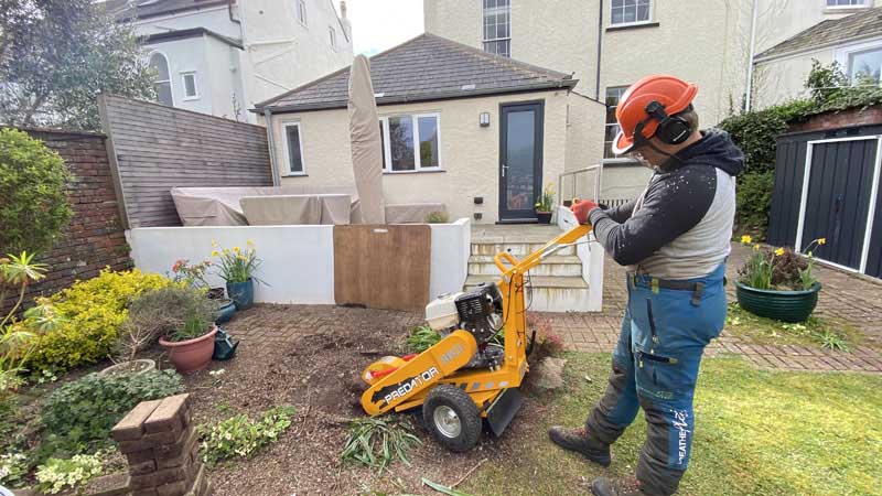 Tree Surgeon East Devon