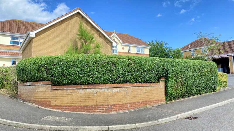 Tree Surgeon East Devon